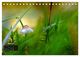 Thumbnail-11