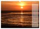 Thumbnail-14