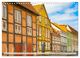 Thumbnail-11