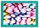Thumbnail-11