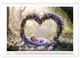 Thumbnail-12