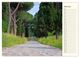 Thumbnail-11