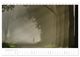Thumbnail-14