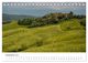 Thumbnail-14