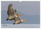 Thumbnail-13