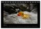 Thumbnail-9