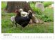 Thumbnail-11