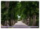 Thumbnail-14