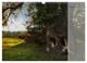 Thumbnail-8