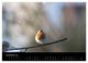 Thumbnail-12