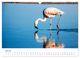 Thumbnail-9