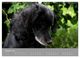 Thumbnail-12