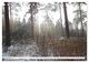 Thumbnail-14