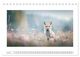 Thumbnail-12