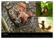 Thumbnail-12