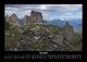 Thumbnail-11