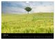 Thumbnail-9