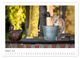 Thumbnail-11