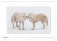Thumbnail-13