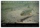 Thumbnail-12