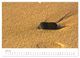 Thumbnail-12