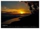 Thumbnail-11