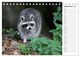 Thumbnail-14