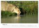 Thumbnail-10
