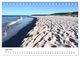 Thumbnail-11