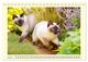 Thumbnail-8