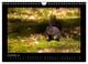 Thumbnail-13