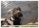 Thumbnail-9