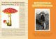Thumbnail-13
