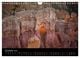 Thumbnail-14