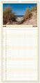 Thumbnail-12
