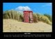 Thumbnail-8