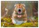 Thumbnail-10