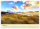 Thumbnail-12