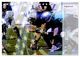 Thumbnail-10