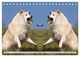 Thumbnail-12