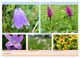 Thumbnail-10