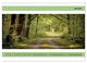 Thumbnail-9