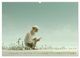 Thumbnail-10