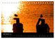 Thumbnail-13