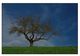 Thumbnail-11