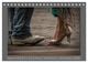 Thumbnail-11