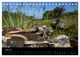 Thumbnail-8