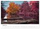 Thumbnail-10