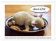 Thumbnail-11