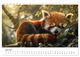 Thumbnail-11
